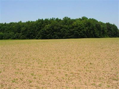Three Oaks Mi 49128 Road Three Oaks, MI 49128 - Photo 11 of 15 Additional Photo