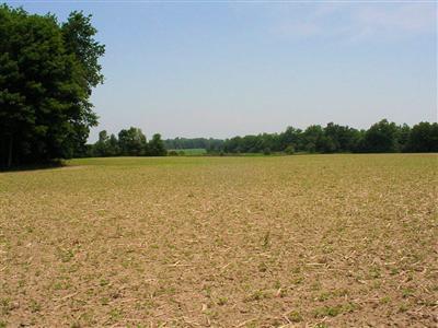 Three Oaks Mi 49128 Road Three Oaks, MI 49128 - Photo 14 of 15 Additional Photo