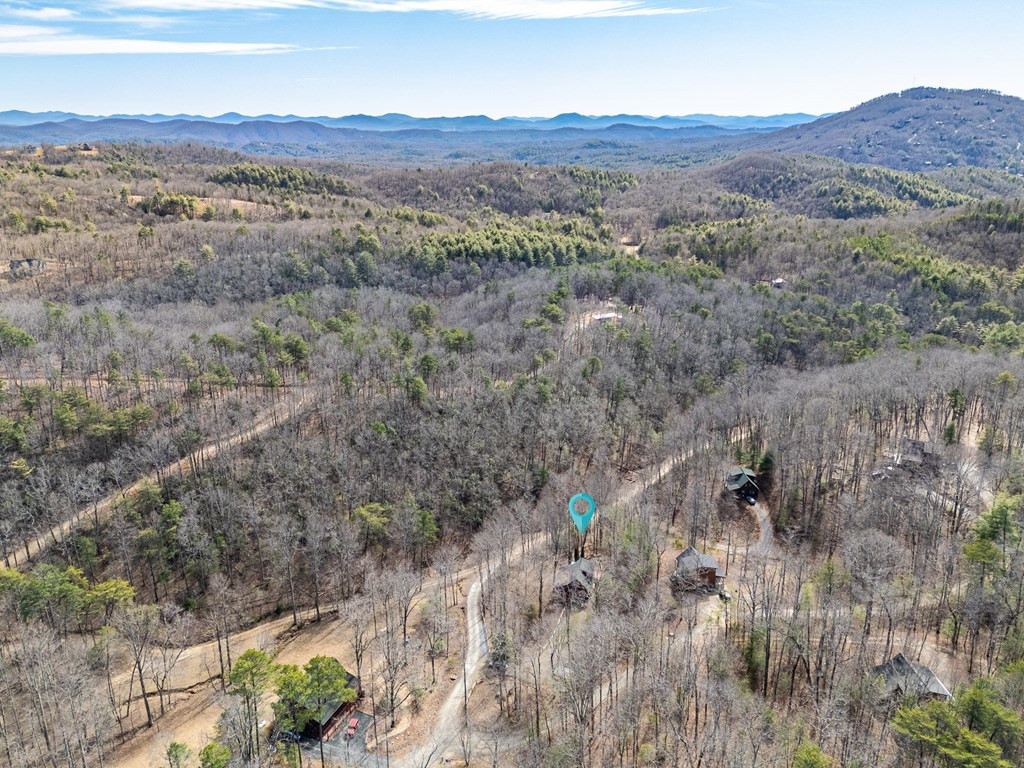 41 Carvers Vw Trail Murphy, NC 28906 - Photo 40 of 46