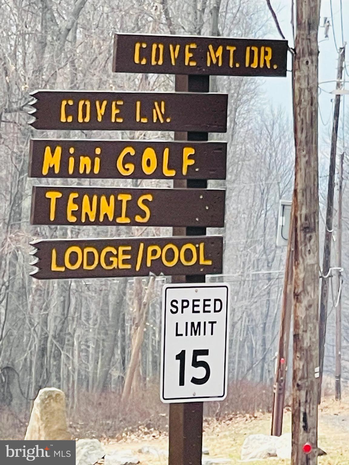124 Spring Mountain Drive Zion Grove, PA 17985 - Photo 14 of 18 a street sign that is on a pole
