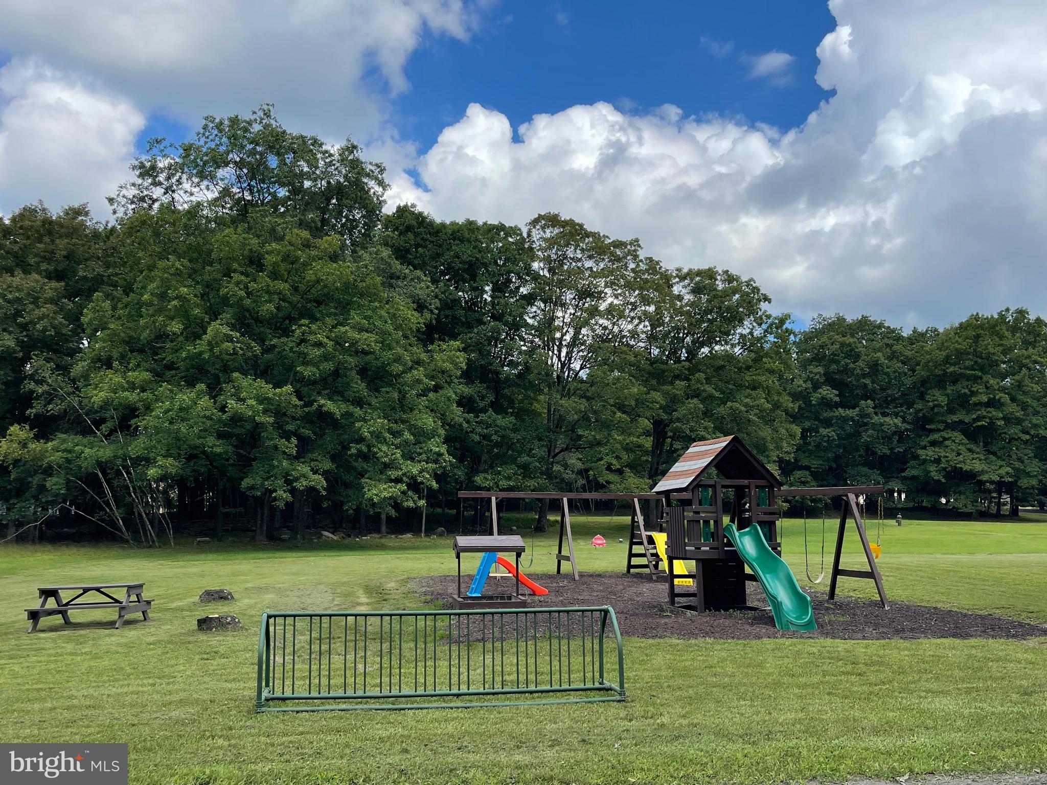 124 Spring Mountain Drive Zion Grove, PA 17985 - Photo 17 of 18 a view of a park with slide