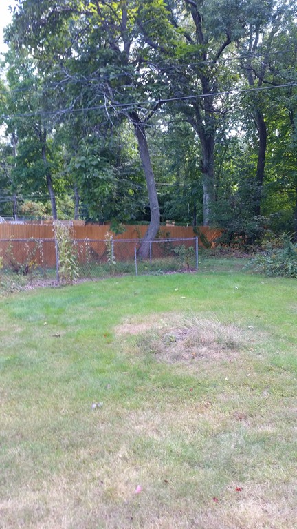 2057 Page Boulevard Springfield, MA 01151 - Photo 5 of 11 Gallery Image 5