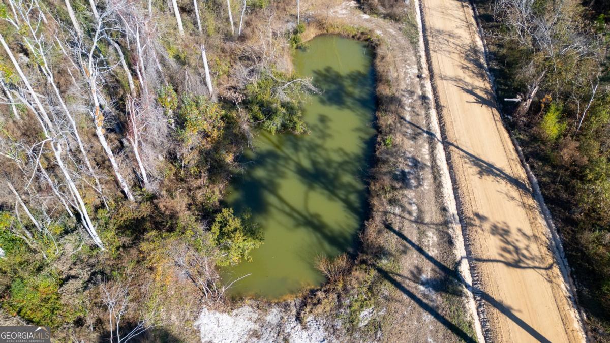 63 Reagin Road Hazlehurst, GA 31539 - Photo 35 of 42