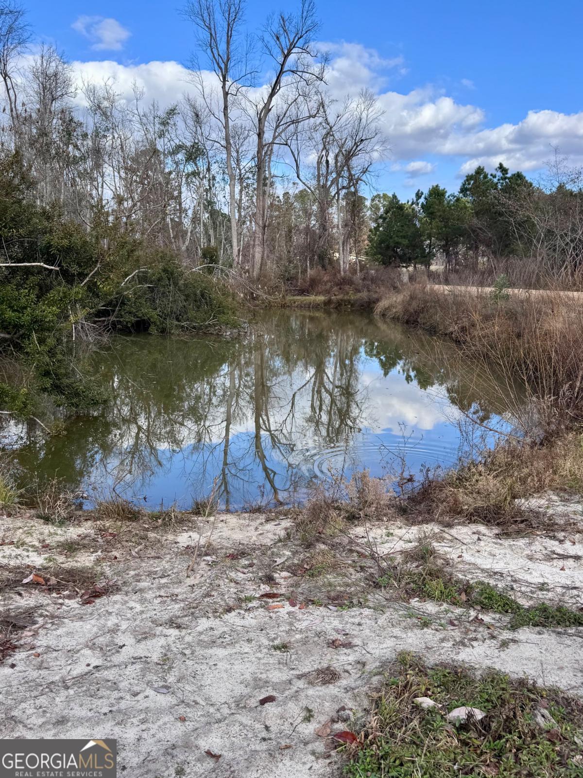 63 Reagin Road Hazlehurst, GA 31539 - Photo 36 of 42