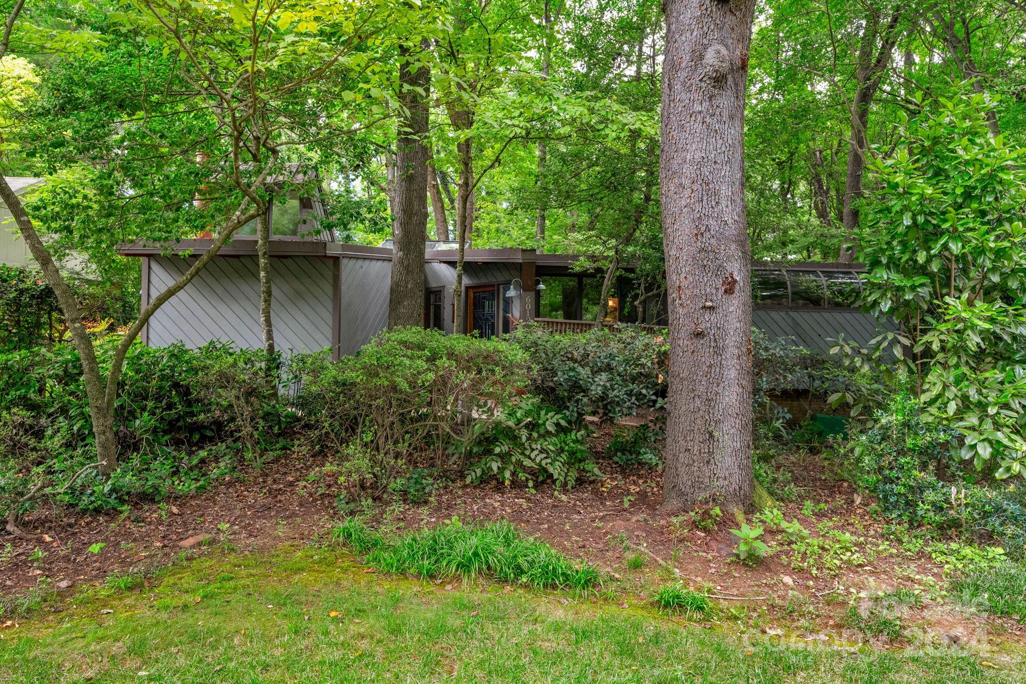 6012 Colchester Place Charlotte, NC 28210 - Photo 1 of 41 a view of a backyard with plants and large trees