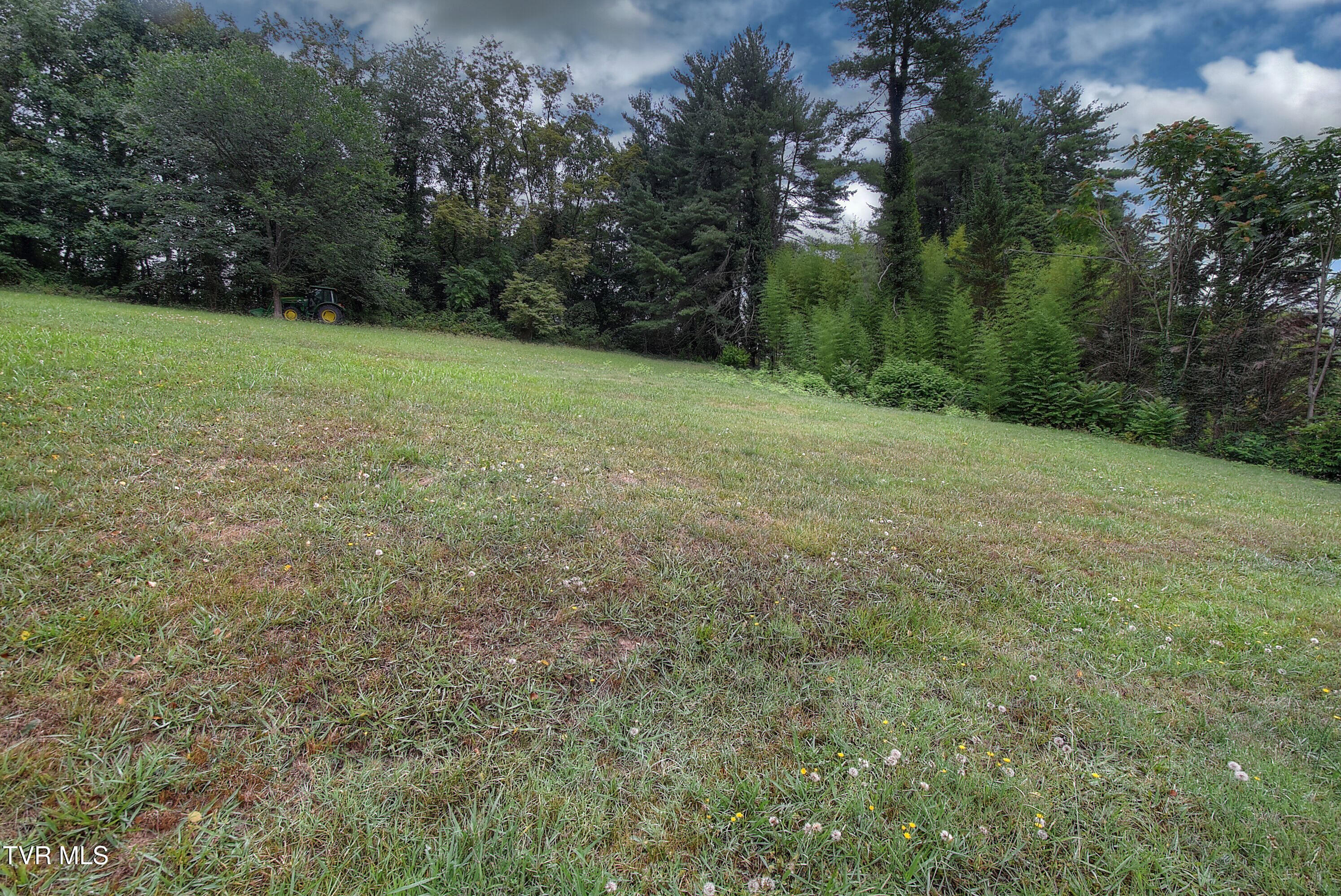 1660 Rock Springs Road Kingsport, TN 37664 - Photo 8 of 30 DSC_0637_38_39_40_41_42 (1)