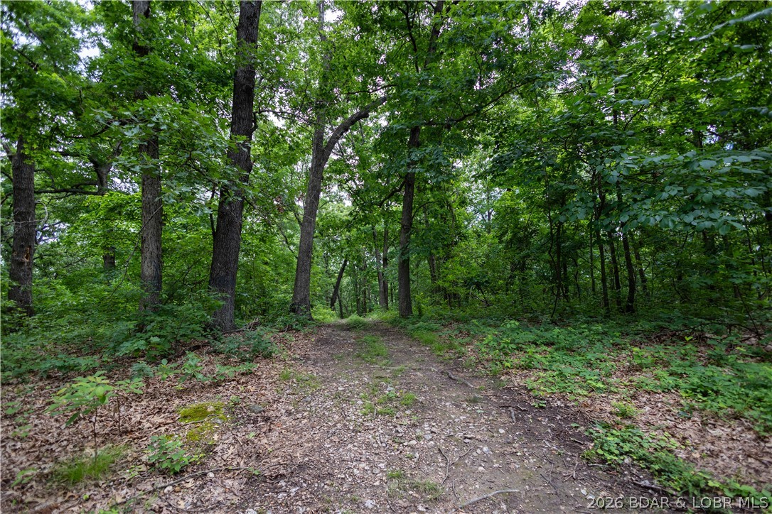 55 Mackey Road Rocky Mount, MO 65072 - Photo 27 of 31