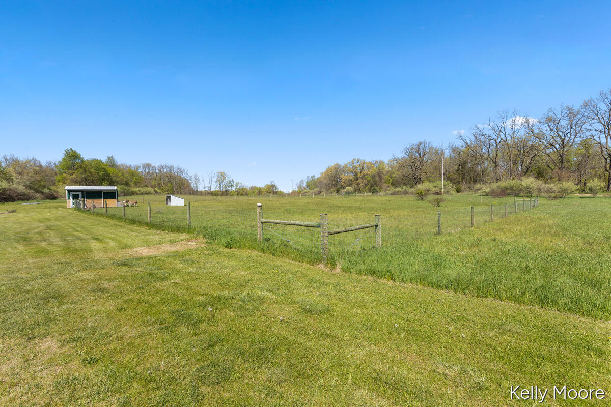 11117 West Snows Lake Road Greenville, MI 48838 - Photo 26 of 30
