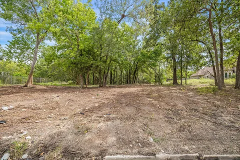 a view of backyard with large trees