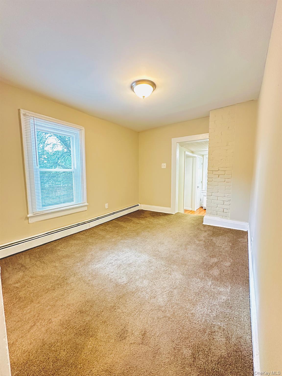 181 Mansion Street, Unit 2 Poughkeepsie, NY 12601 - Photo 10 of 20 Unfurnished room featuring baseboard heating and light colored carpet