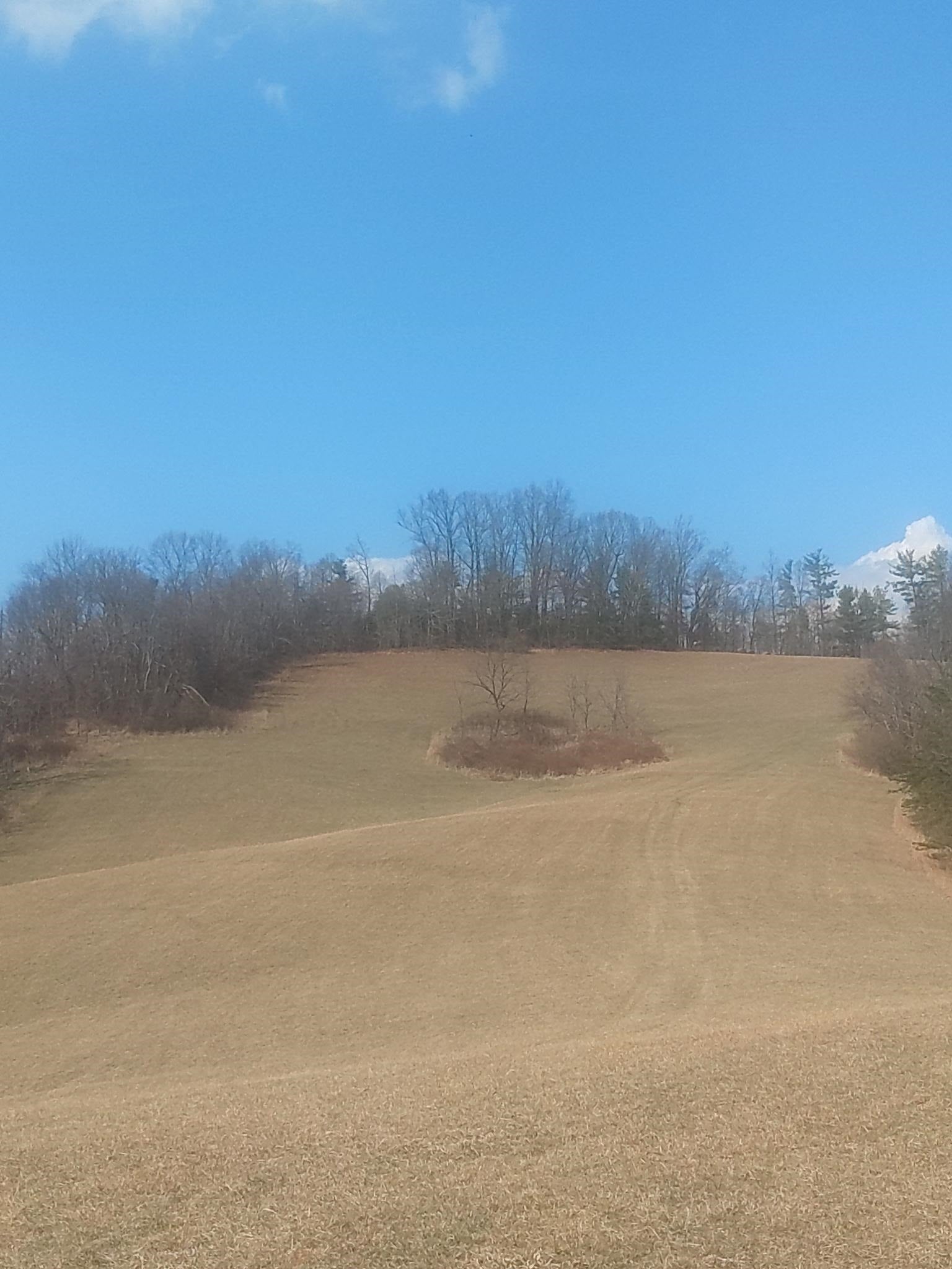 Tbd Dobbins Hollow Road Riner, VA 24149 - Photo 5 of 5 Gallery Image 5
