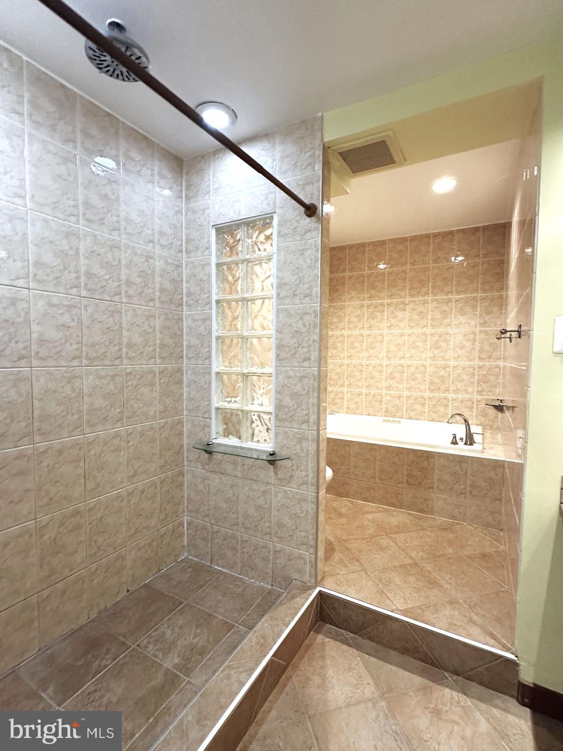 3940 Bel Pre Road, Unit 39408 Silver Spring, MD 20906 - Photo 17 of 24 Bathroom w/open shower and soaking tub