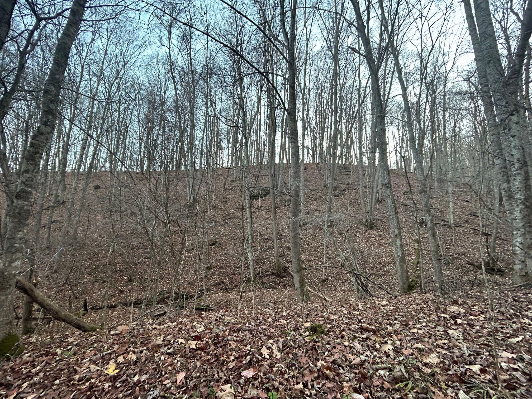 Dale Hollow Road Renick, WV 24966 - Photo 10 of 17 Gallery Image 10