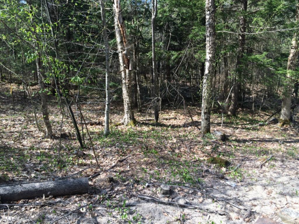 20.3 County Road Acton, ME 04001 - Photo 9 of 12 Photo