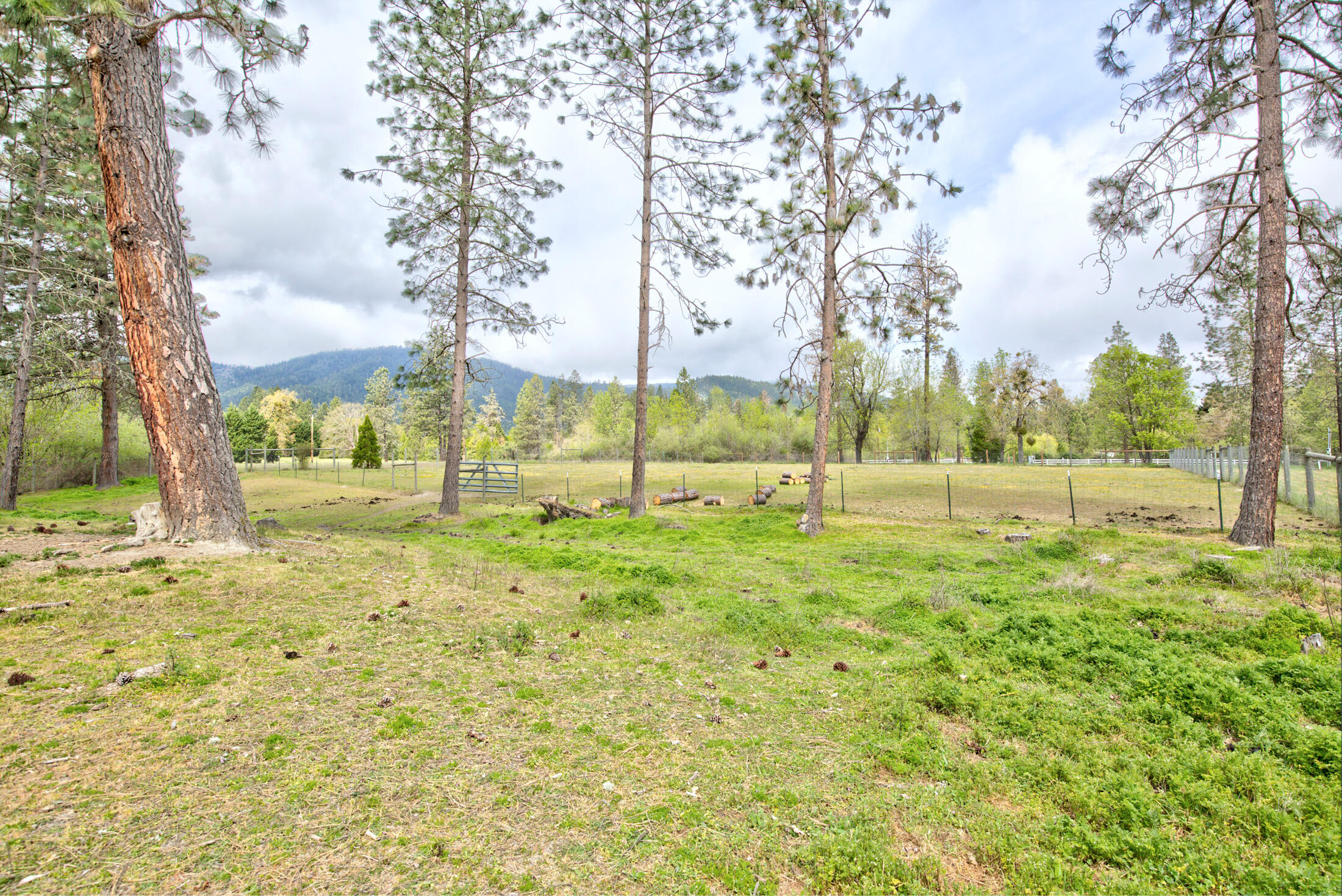 505 Horizon Hills Road Williams, OR 97544 - Photo 63 of 66 horizon063