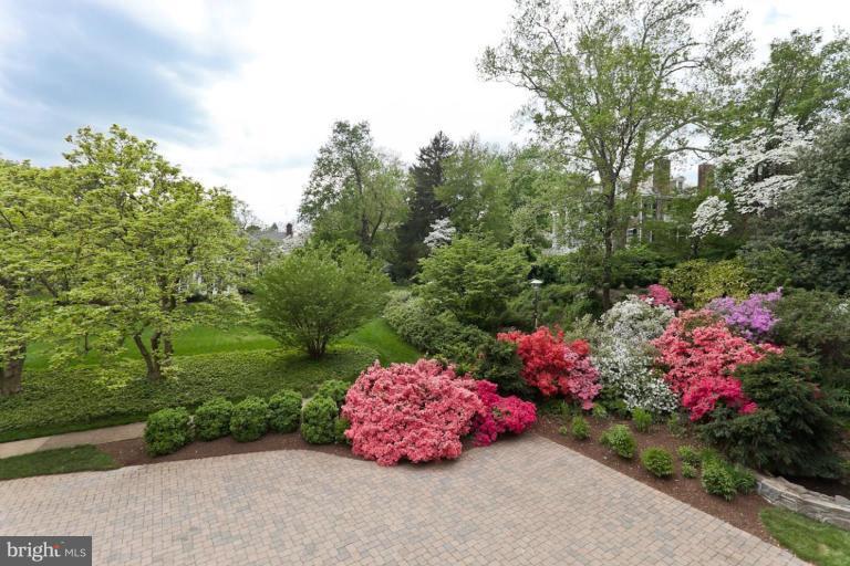 308 Overhill Road Baltimore, MD 21210 - Photo 9 of 26 Garden