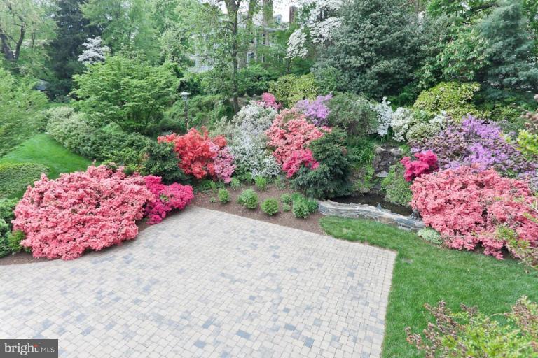 308 Overhill Road Baltimore, MD 21210 - Photo 10 of 26 Garden #2
