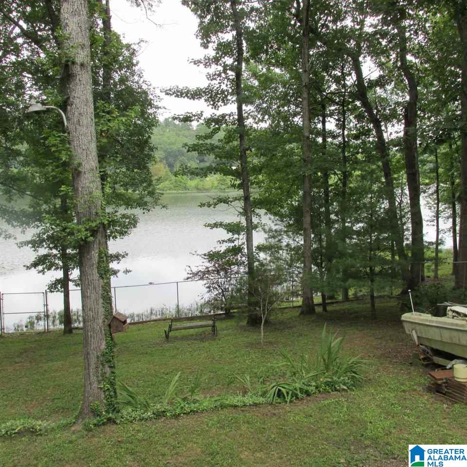 1674 Reid Road Oneonta, AL 35121 - Photo 3 of 22