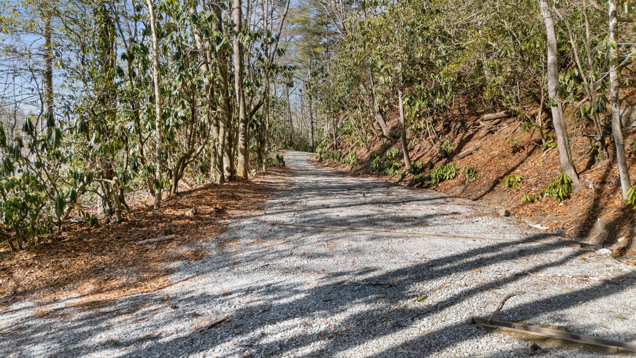 290 Blue Ridge Lane Cashiers, NC 28717 - Photo 62 of 64 Gallery Image 62