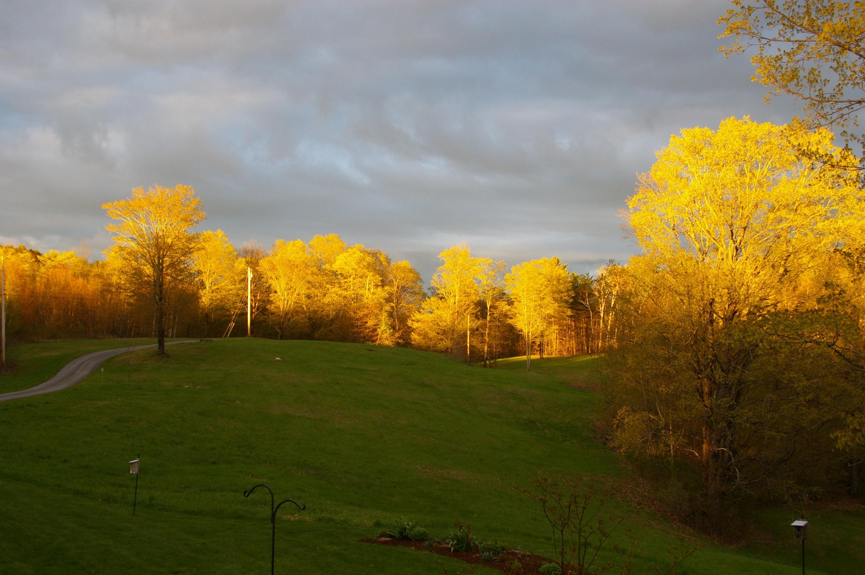 89 Jordan Road Strafford, VT 05072 - Photo 42 of 43