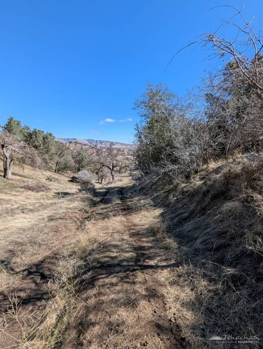 0 Angus Court Tehachapi, CA 93561 - Photo 6 of 10 Gallery Image 6
