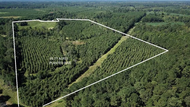 $218,735 | 0 Fralix Road, Smoaks, SC 29481