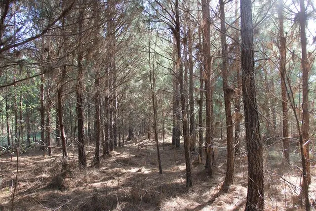 $218,735 | 0 Fralix Road, Smoaks, SC 29481