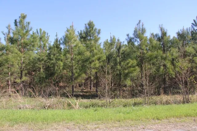 $218,735 | 0 Fralix Road, Smoaks, SC 29481