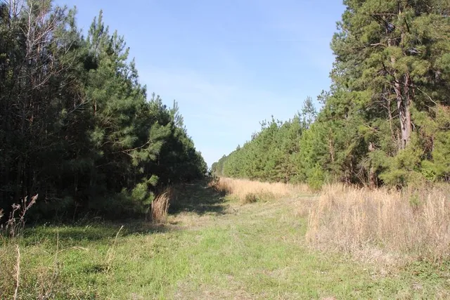 $218,735 | 0 Fralix Road, Smoaks, SC 29481