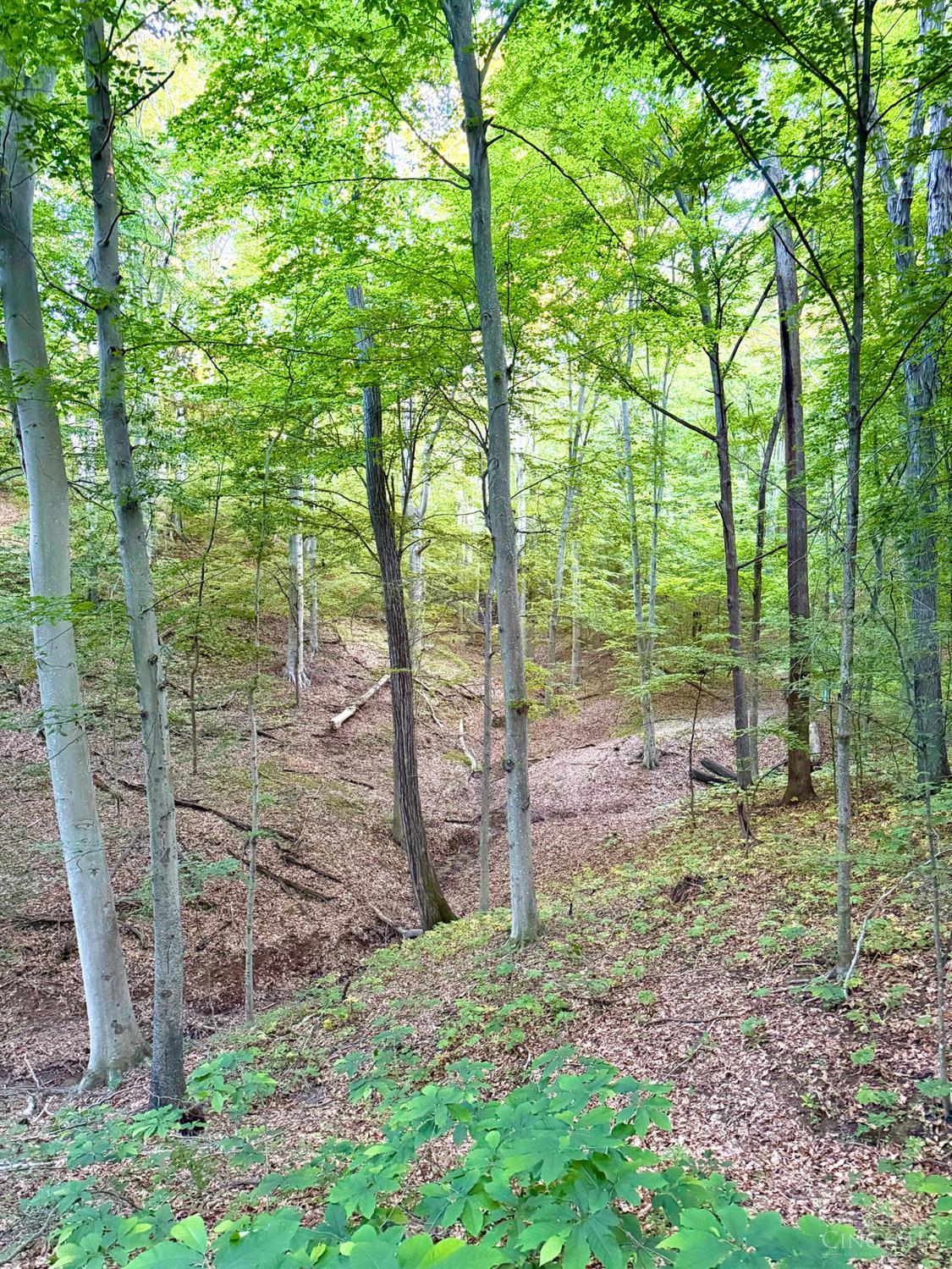 0 North Falls Road Bainbridge, OH 45612 - Photo 28 of 99