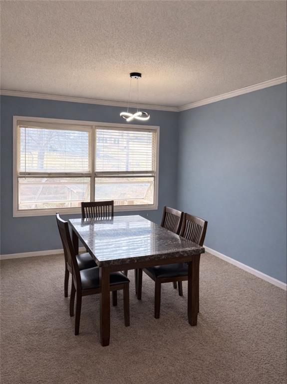 809 Acorn Street Eudora, KS 66025 - Photo 4 of 16