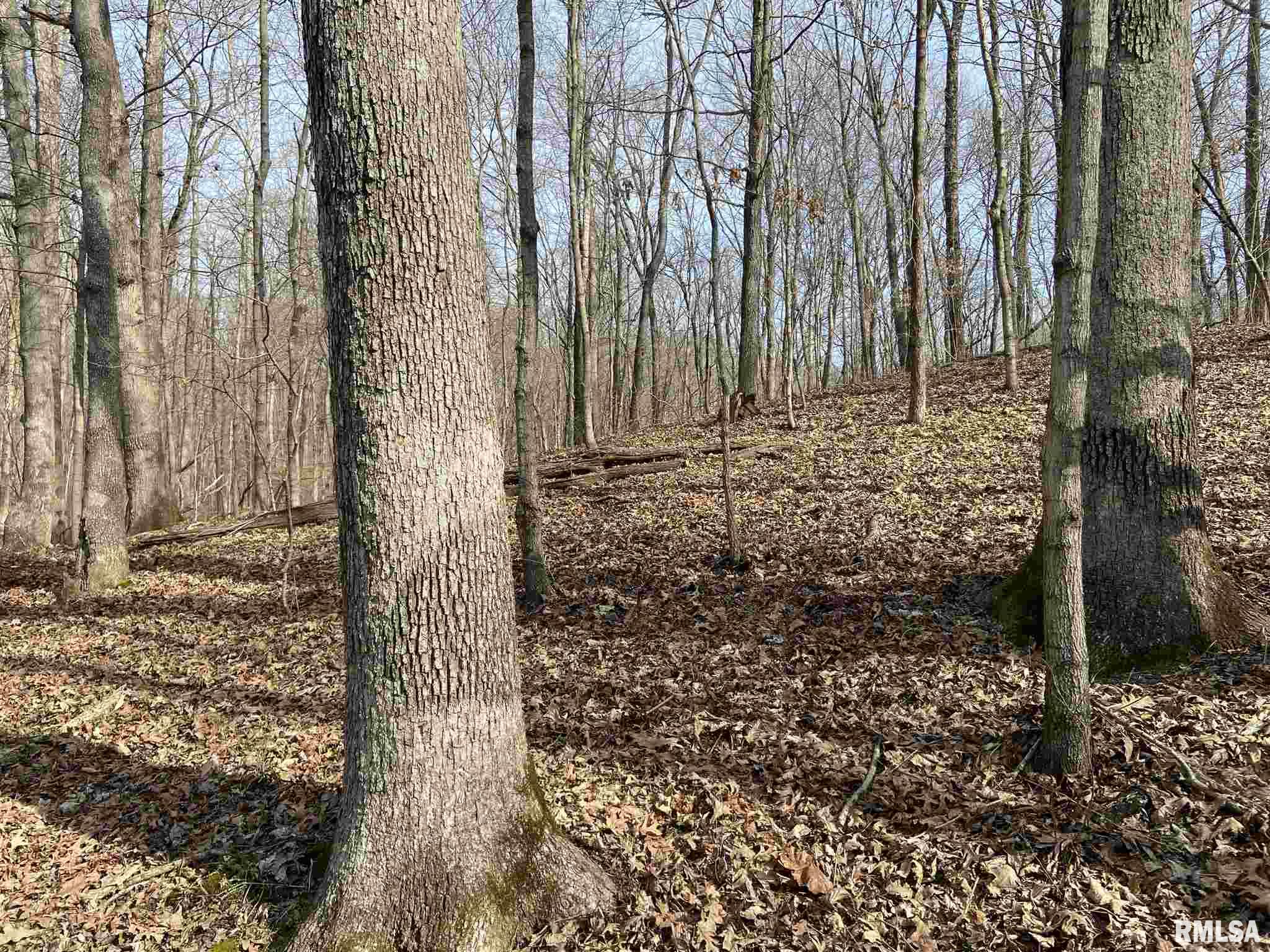 2369 Tonti Road Odin, IL 62870 - Photo 49 of 49