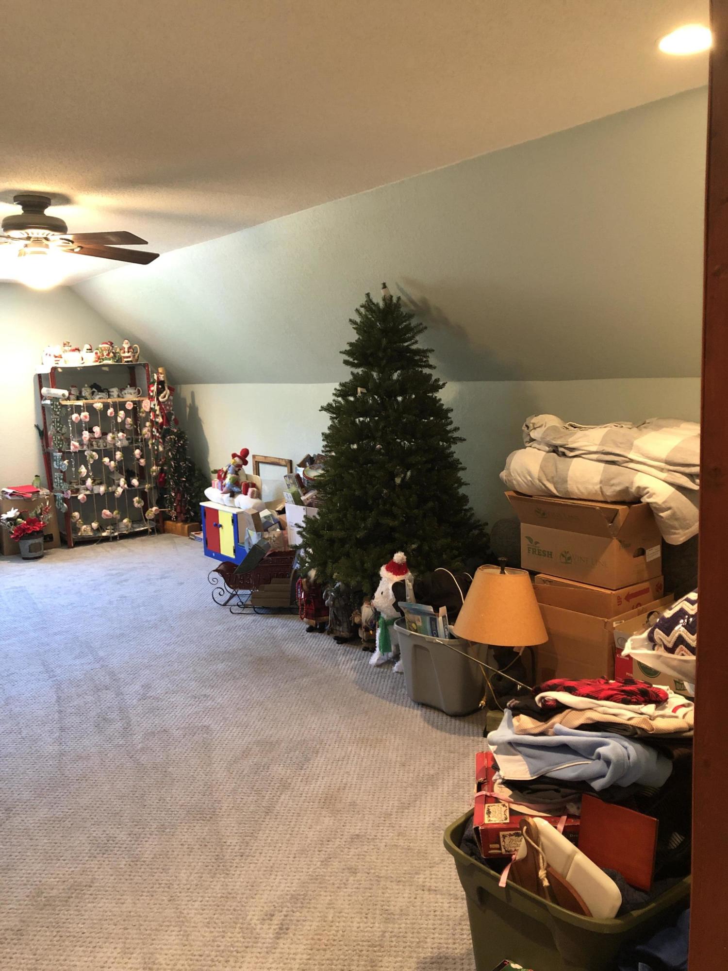 8625 Kate Hanson Road Cheboygan, MI 49721 - Photo 59 of 88 IMG_0806