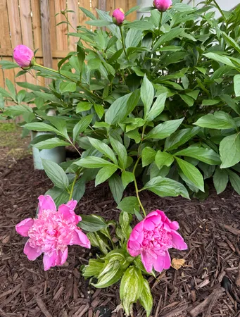 $230,000 | 606 South Main Street, Eureka, IL 61530