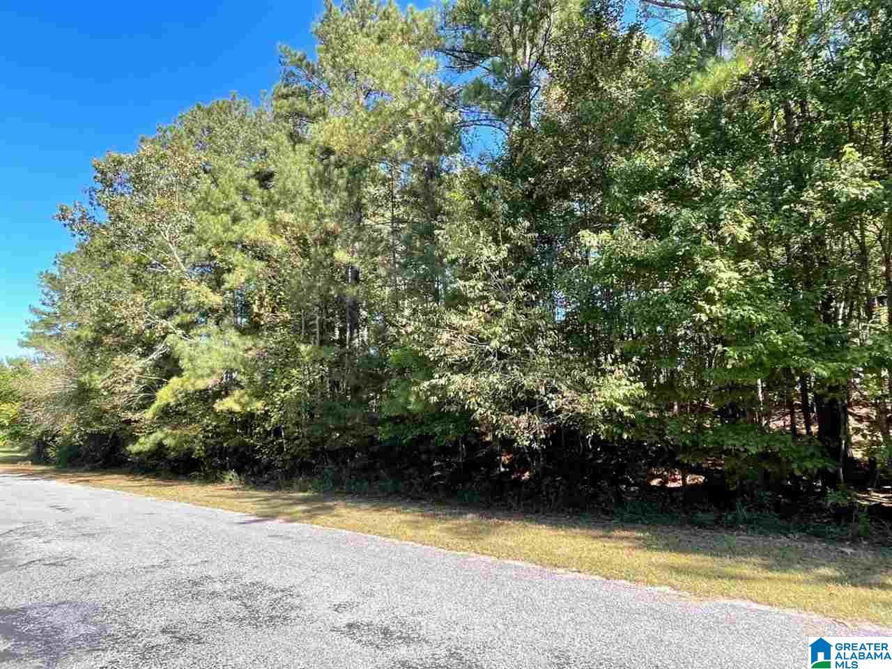 Blair Road, Unit 3 99 Ashland, AL 36251 - Photo 1 of 6