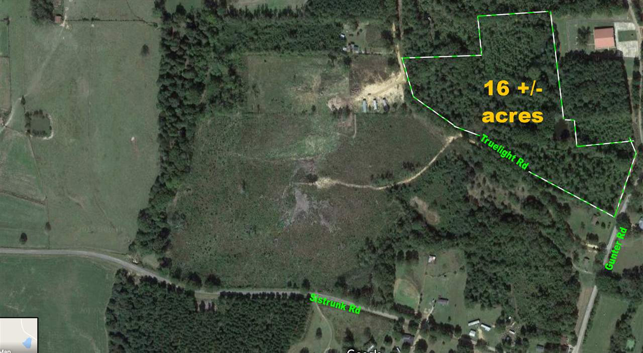Gunter Road Walnut Grove, MS 39189 - Photo 1 of 18 Photo 1