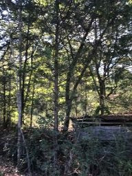 Gunter Road Walnut Grove, MS 39189 - Photo 11 of 18 Photo 11