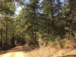 Gunter Road Walnut Grove, MS 39189 - Photo 14 of 18 Photo 14