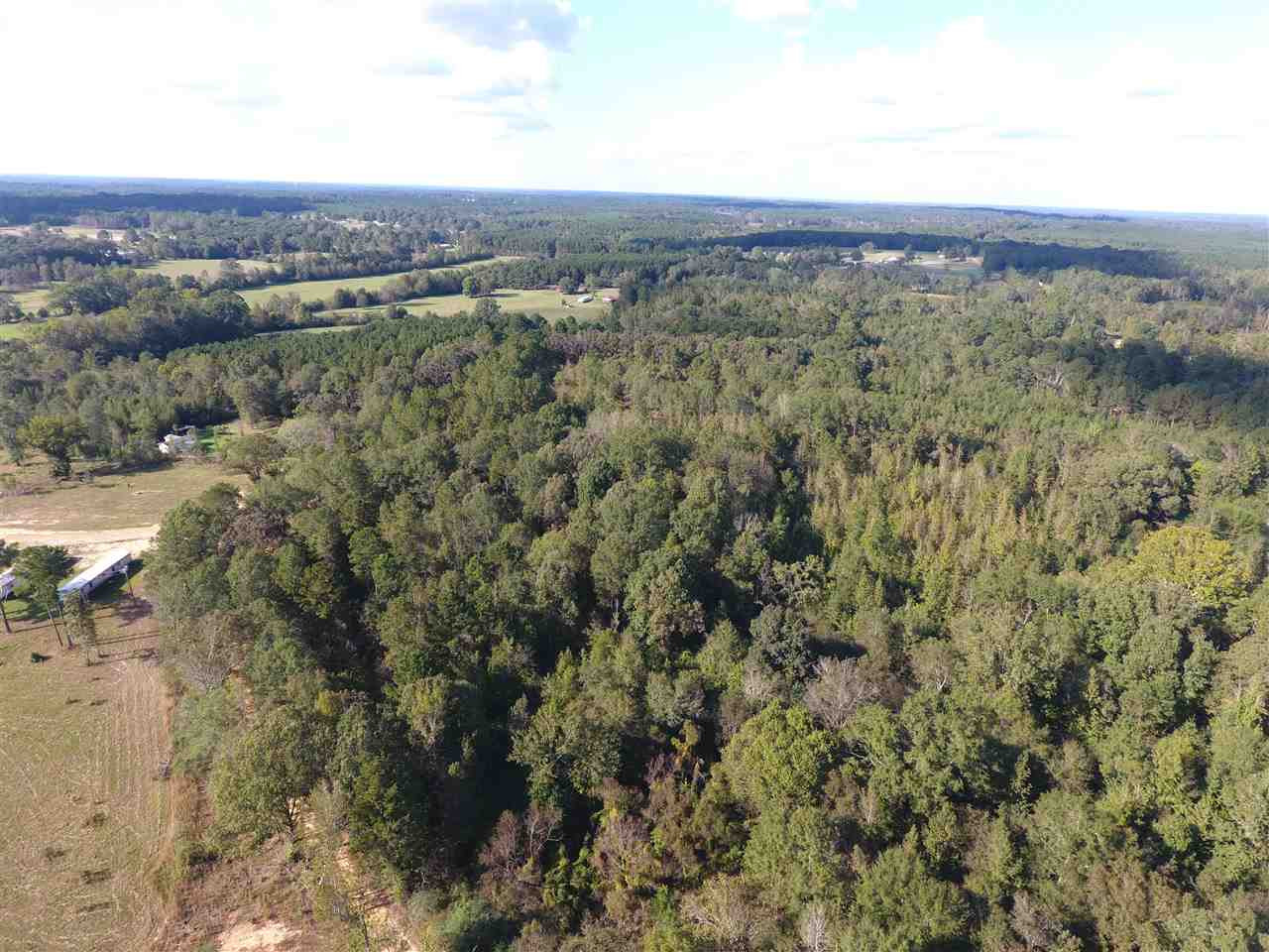 Gunter Road Walnut Grove, MS 39189 - Photo 3 of 18 Photo 3