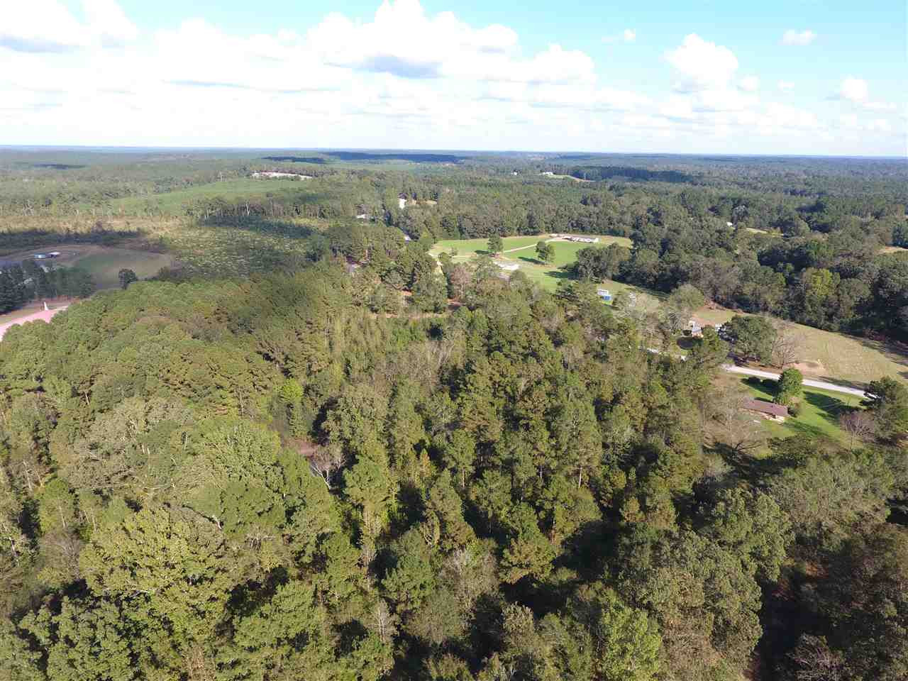 Gunter Road Walnut Grove, MS 39189 - Photo 5 of 18 Photo 5