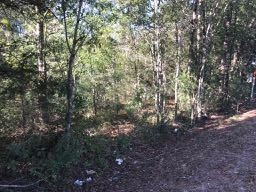 Gunter Road Walnut Grove, MS 39189 - Photo 10 of 18 Photo 10