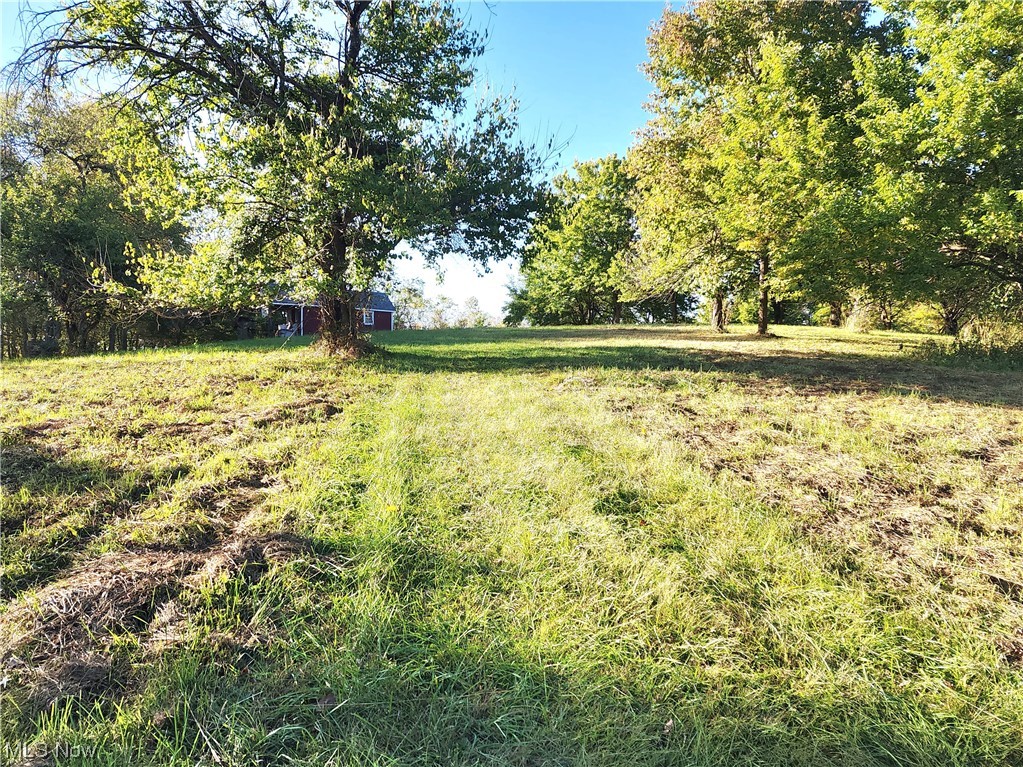 2465 South Elliott Road Stockport, OH 43787 - Photo 5 of 27 View of yard