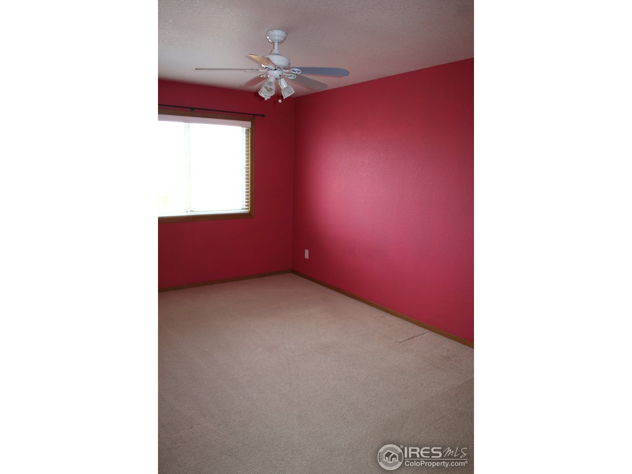 7212 West 23rd St Road Greeley, CO 80634 - Photo 17 of 20 3rd Bdrm 14X10