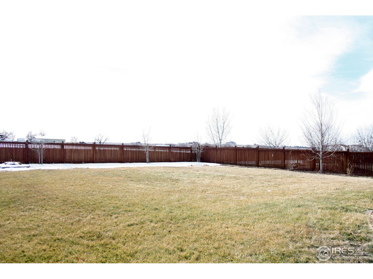 7212 West 23rd St Road Greeley, CO 80634 - Photo 20 of 20 Like Country Living
