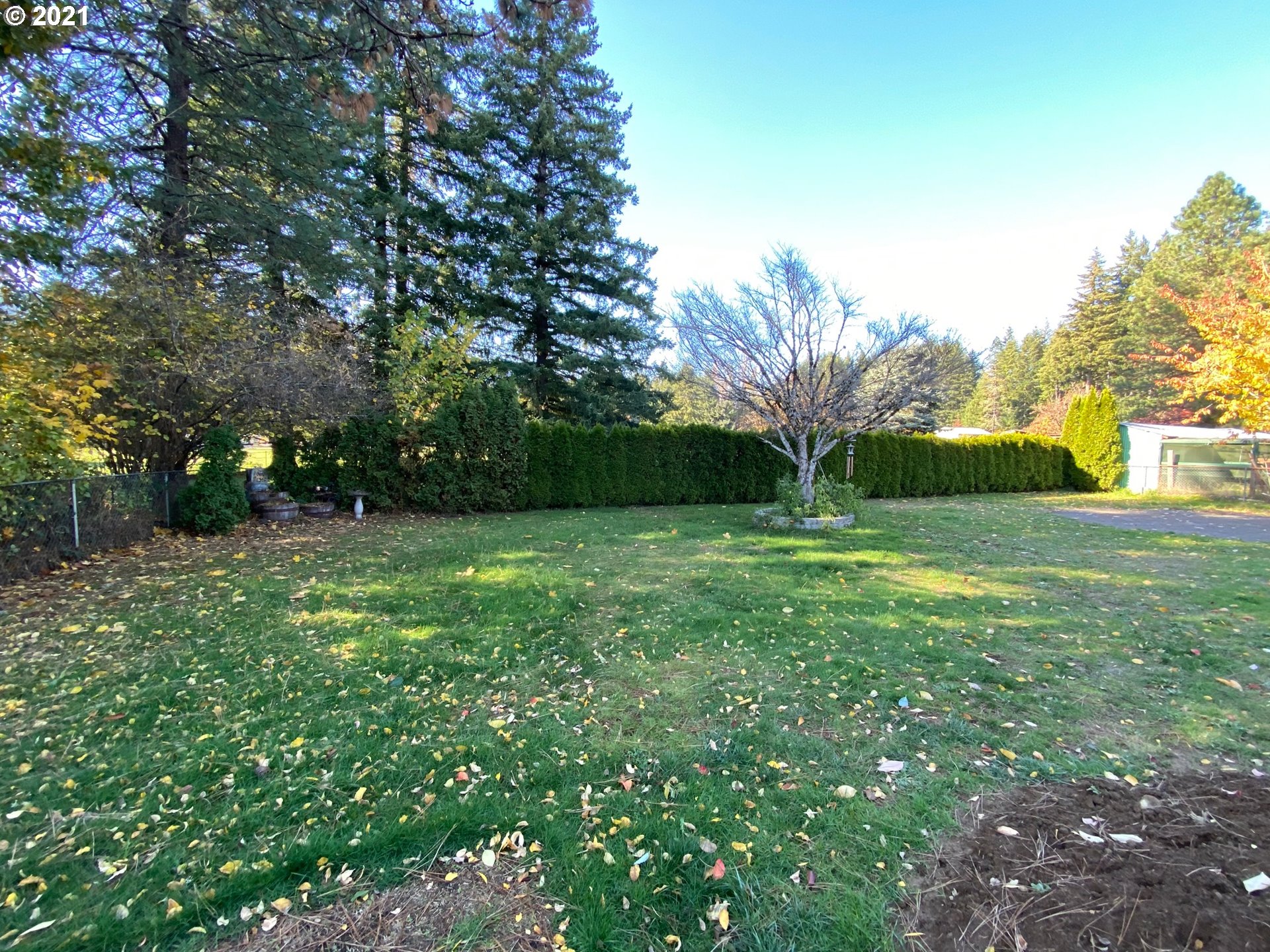 72 Mathany Road Carson, WA 98610 - Photo 5 of 16 Gallery Image 5