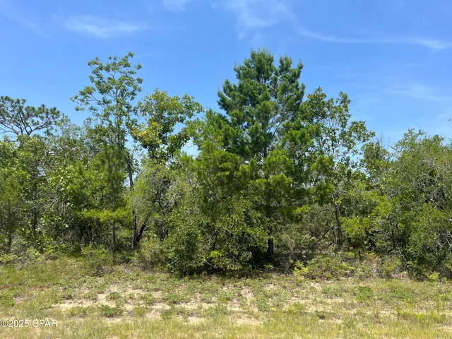 $6,000 | 0 Sylvia Drive, Chipley, FL 32428