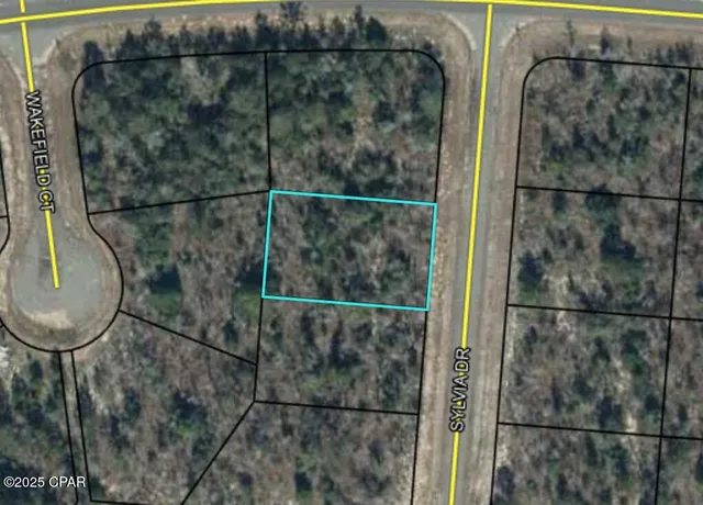 $6,000 | 0 Sylvia Drive, Chipley, FL 32428