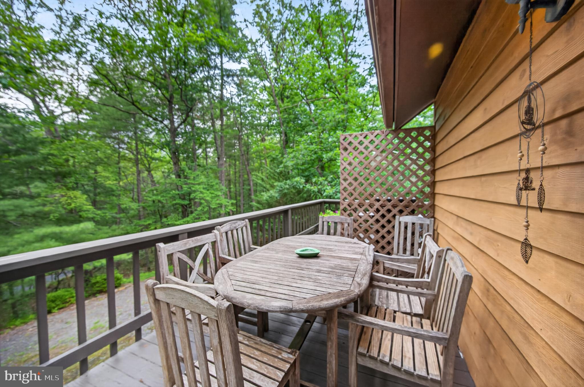 155 Beech Road Mount Jackson, VA 22842 - Photo 18 of 54