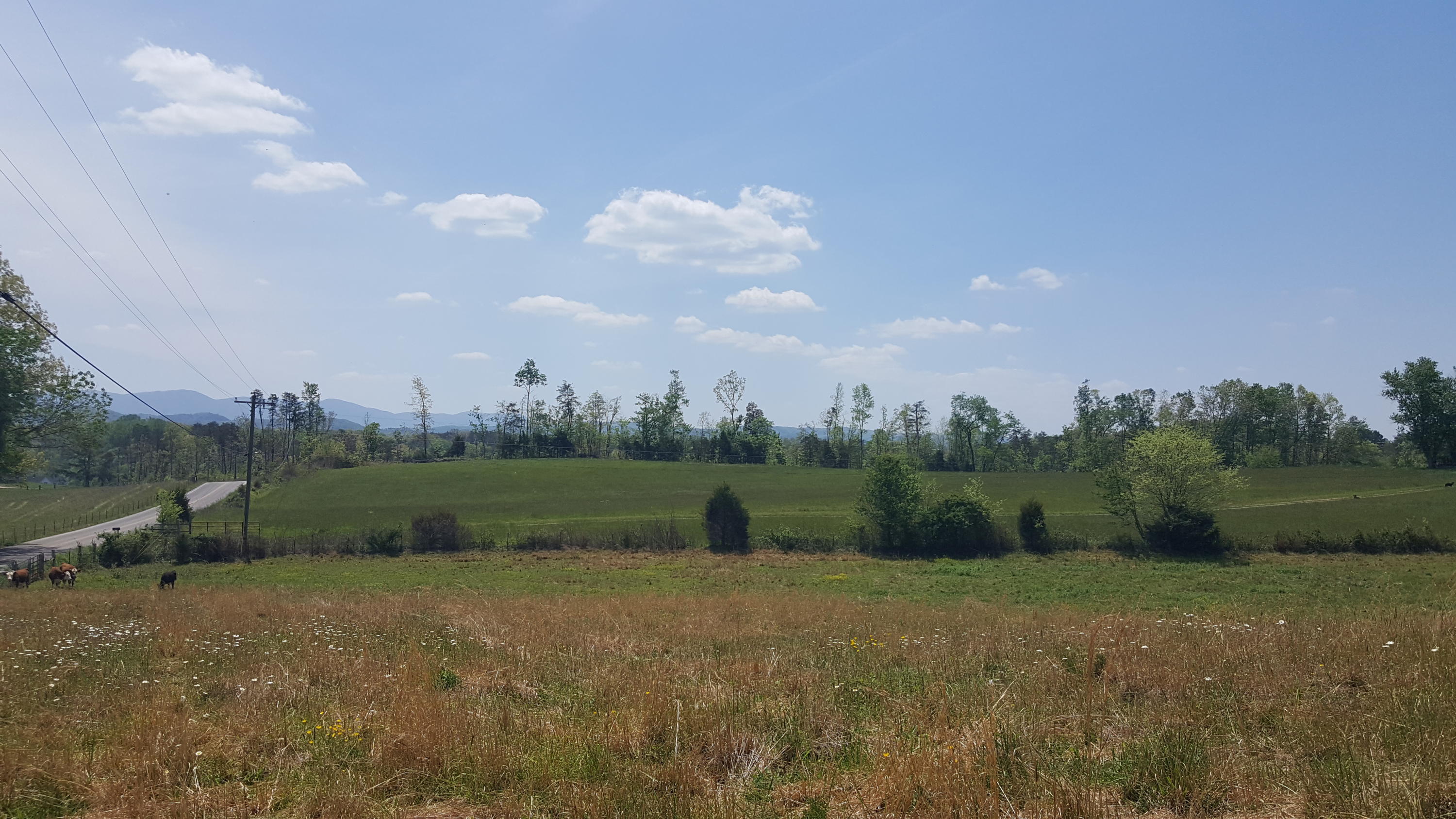 2 Fairview Road Tellico Plains, TN 37385 - Photo 13 of 31 20180502_130510