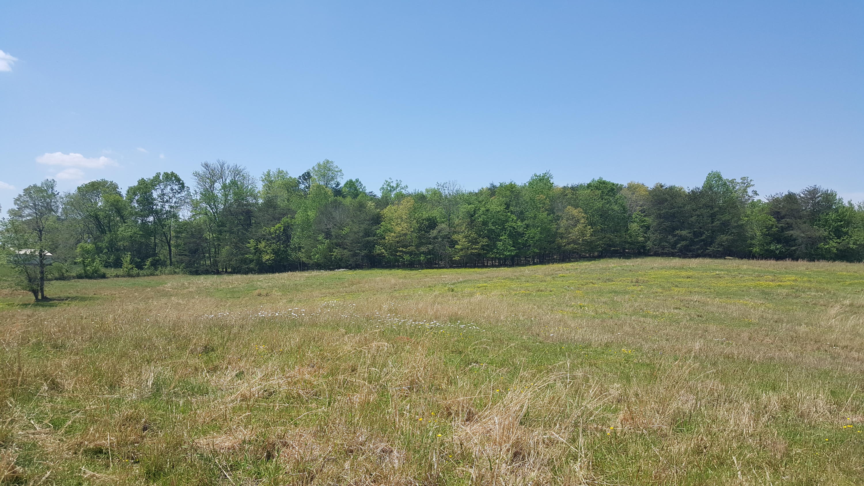 2 Fairview Road Tellico Plains, TN 37385 - Photo 14 of 31 20180502_130707